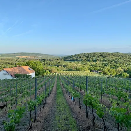 Káli Panoráma Birtok * Mindszentkálla