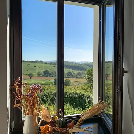 Kali Panorama Birtok