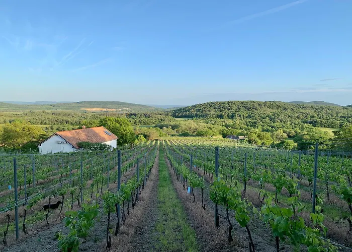 Kali Panorama Birtok * Mindszentkalla